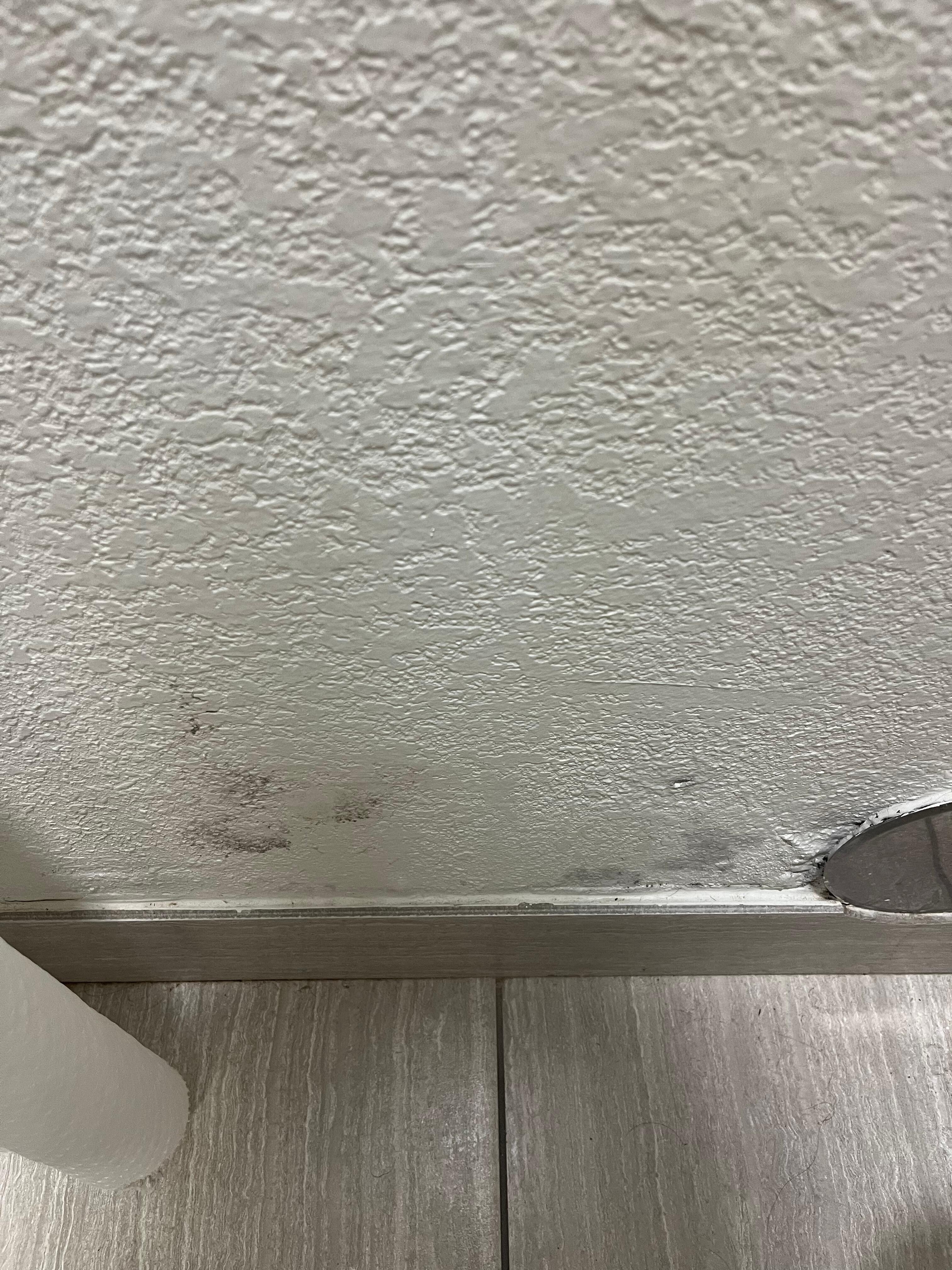 Mold in our bathroom