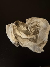 Paper towel that I cleaned the window sill in the room with.