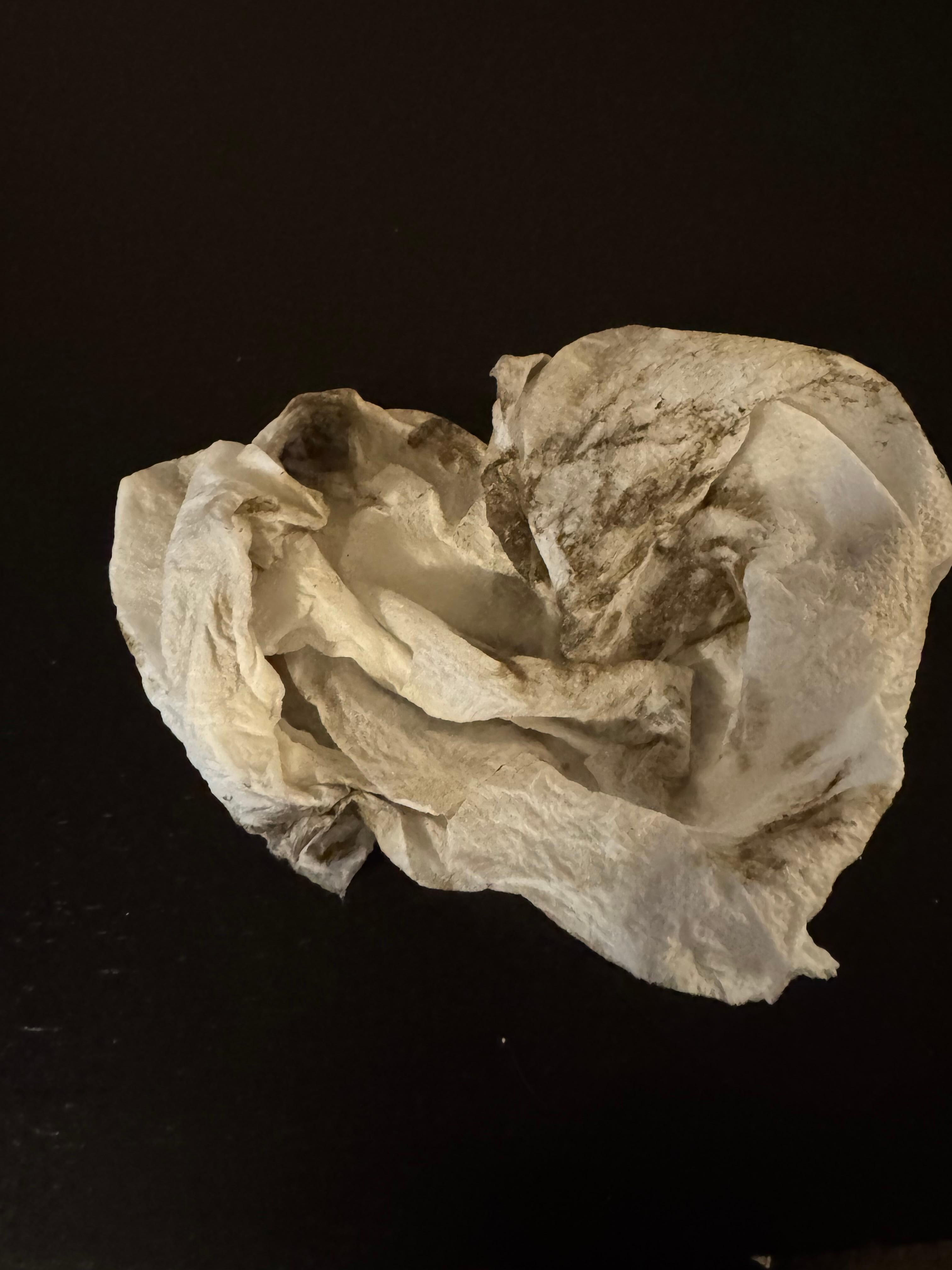 Paper towel that I cleaned the window sill in the room with. 