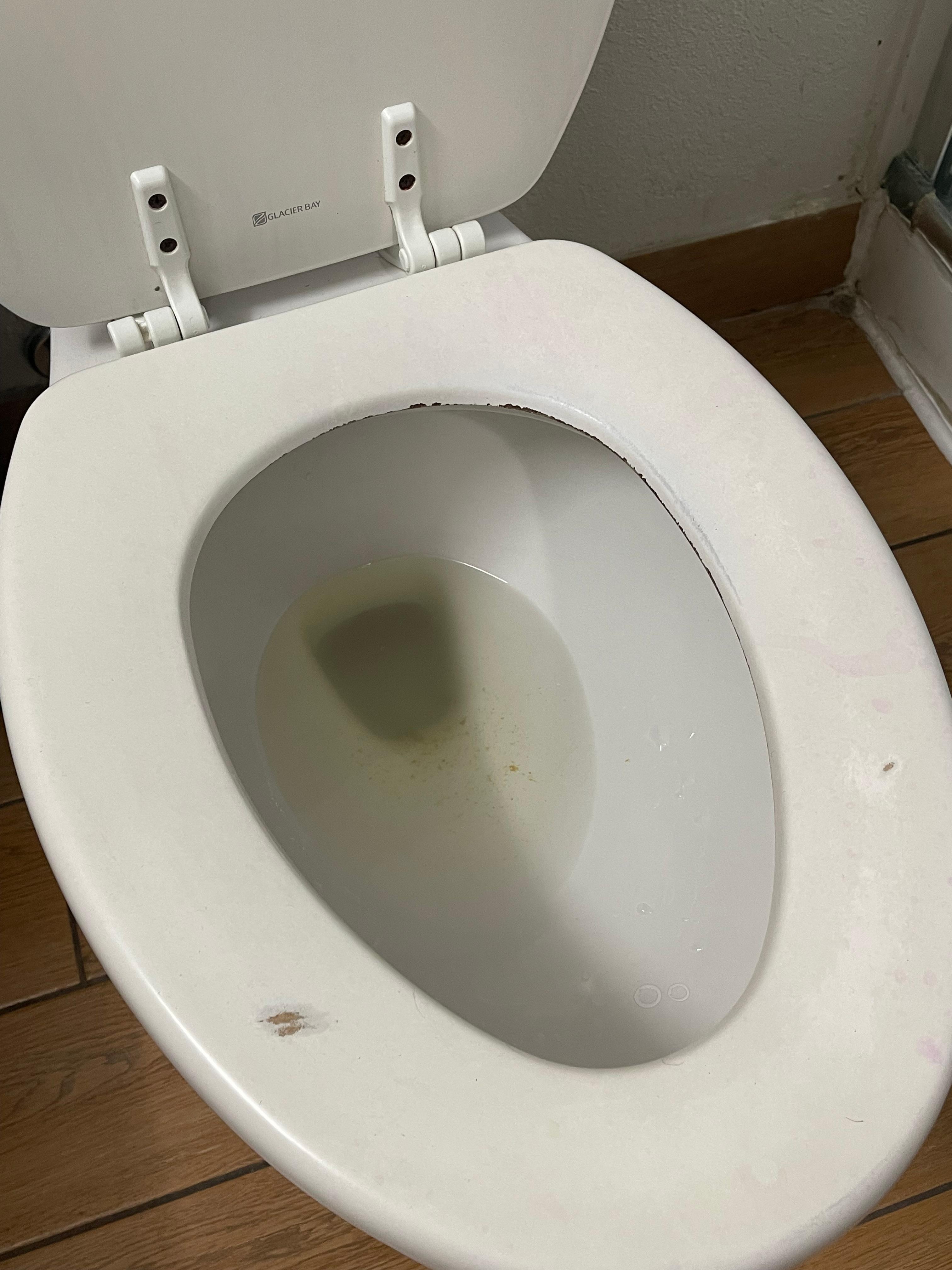 Toilet with dirty bowl water