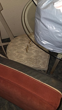 Another dining room chair torn, worn and dirty.