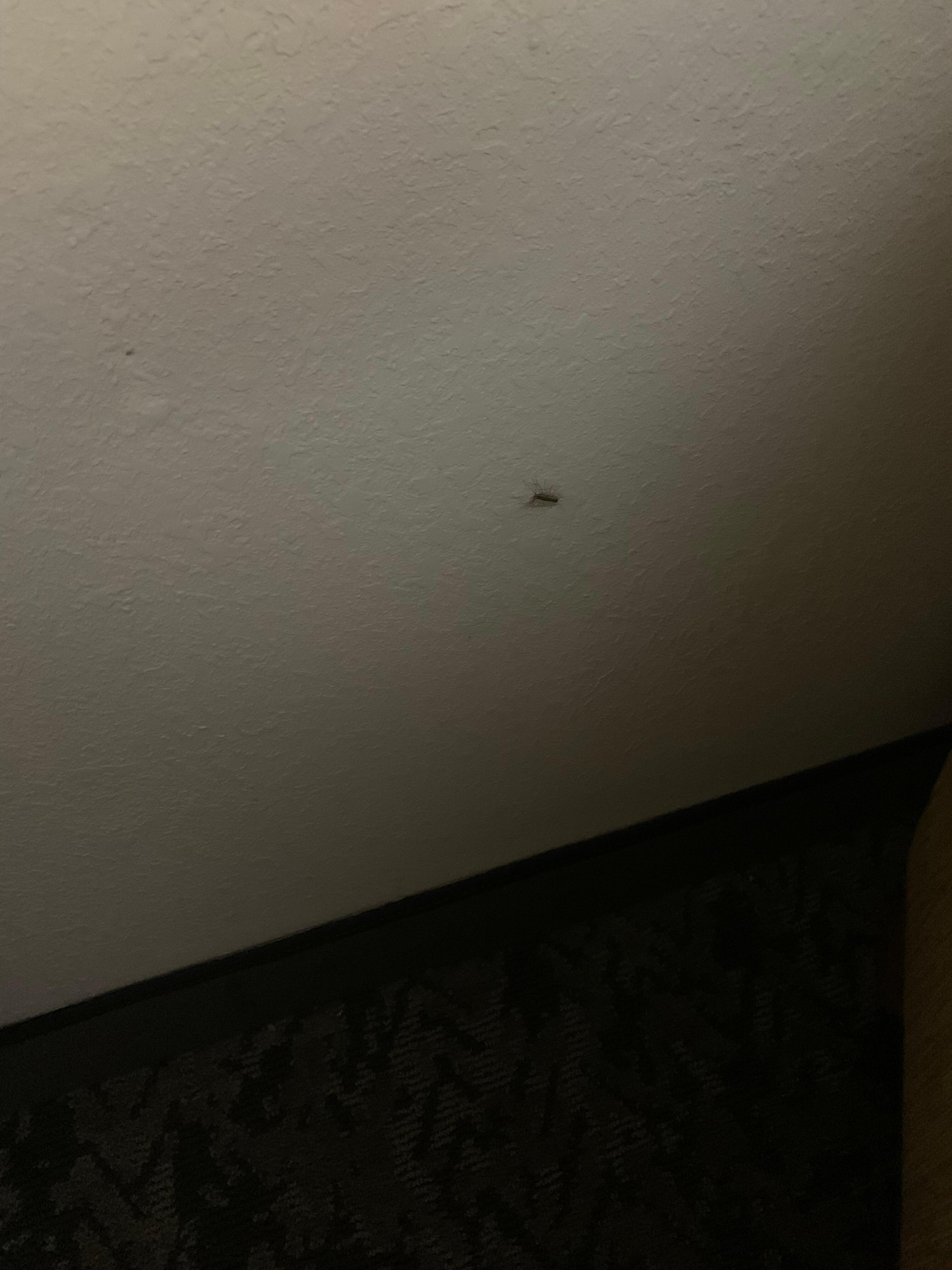 One of 8 bugs that I found