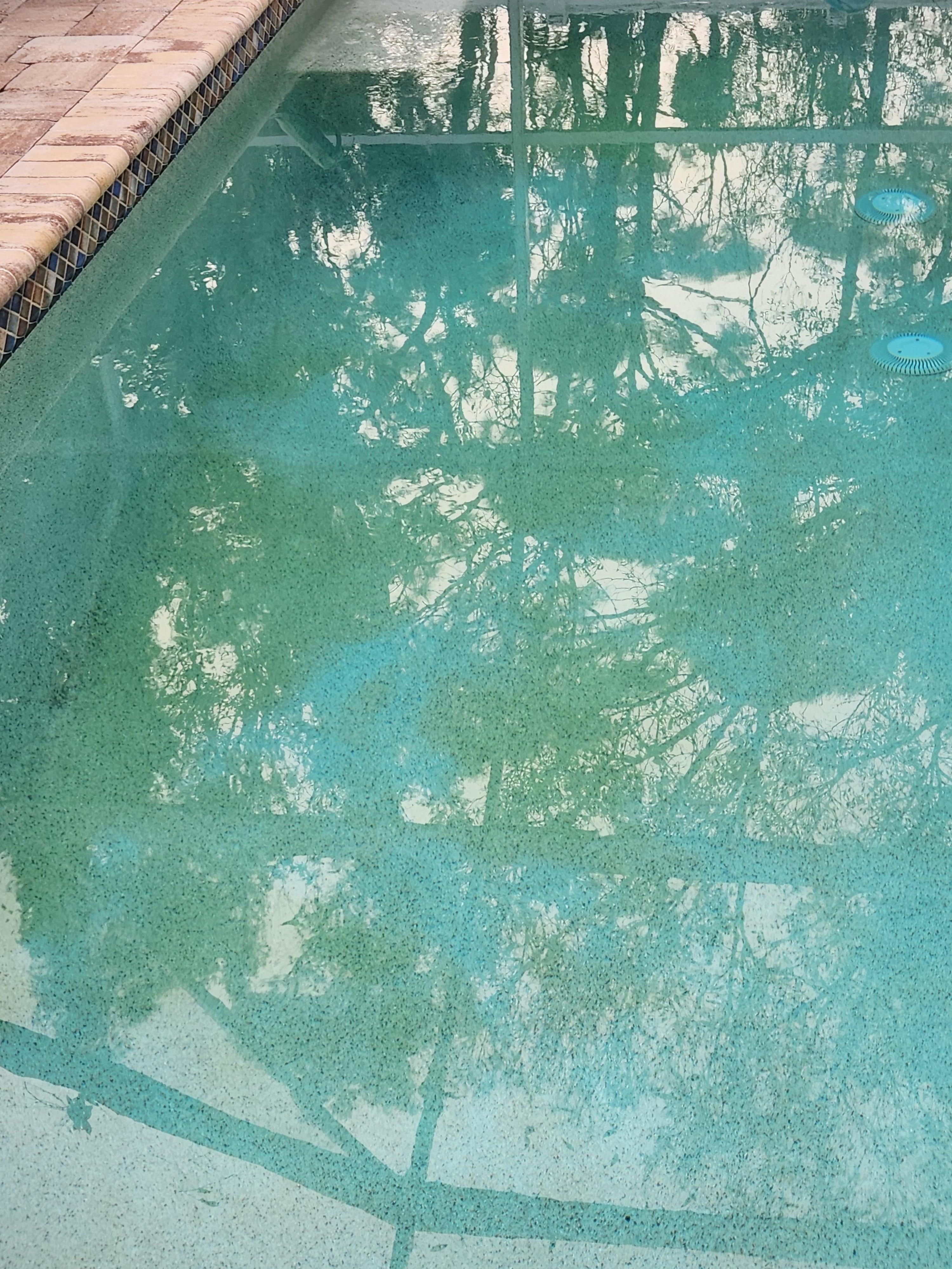 Algae on the bottom of the pool