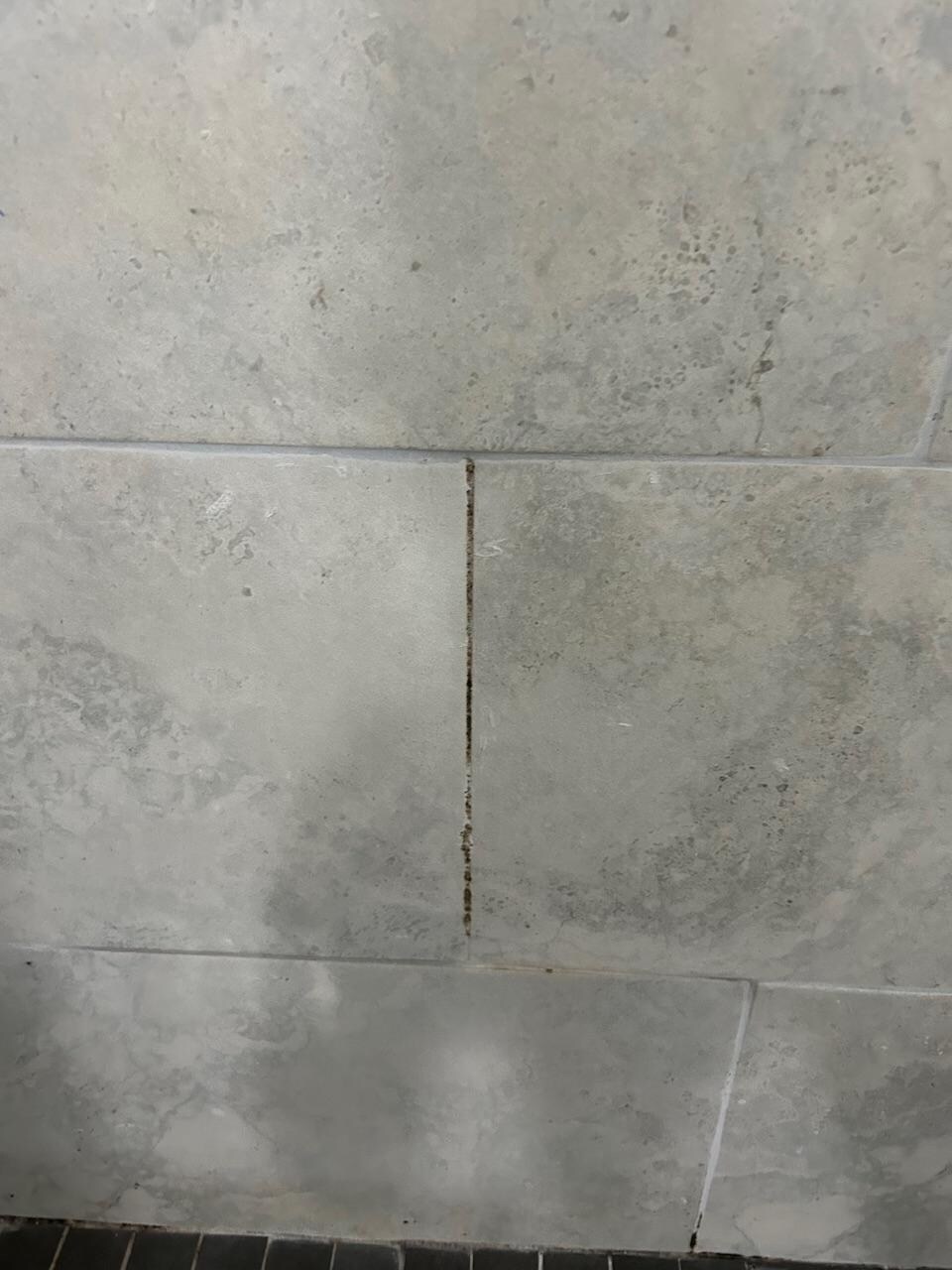 Moldy tile bathroom 