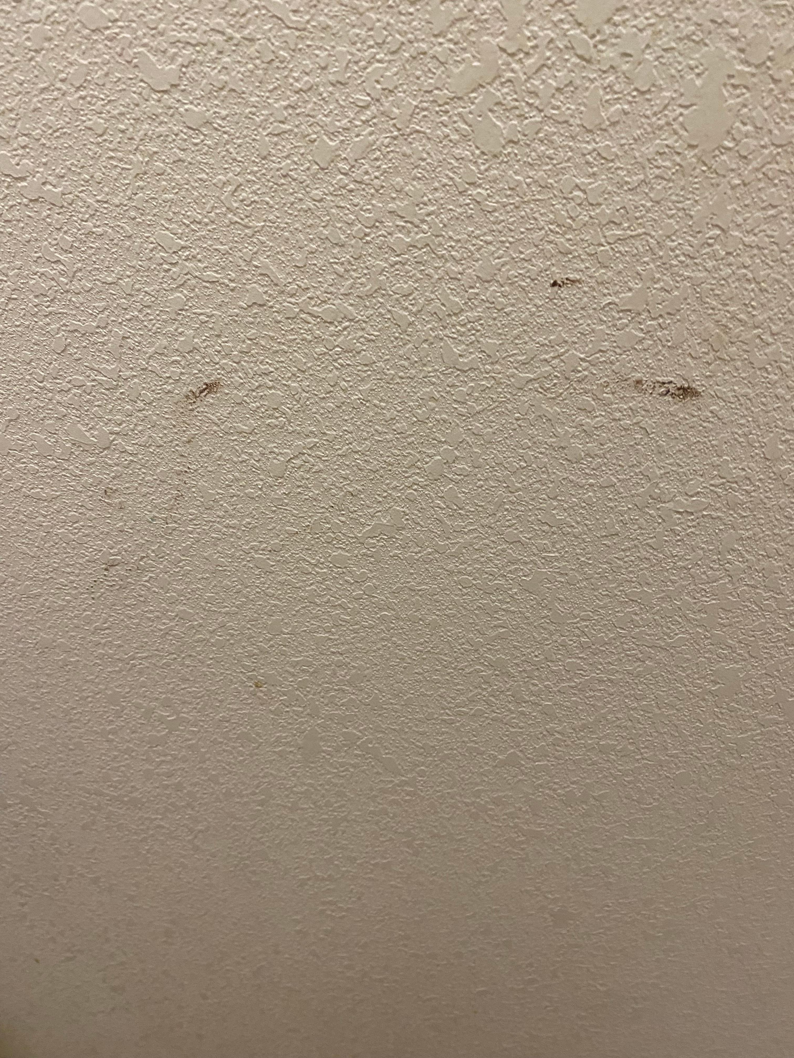 Poop on wall