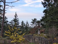 Beautiful skies and a furry neighbour.