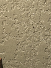 Bug squashed on wall