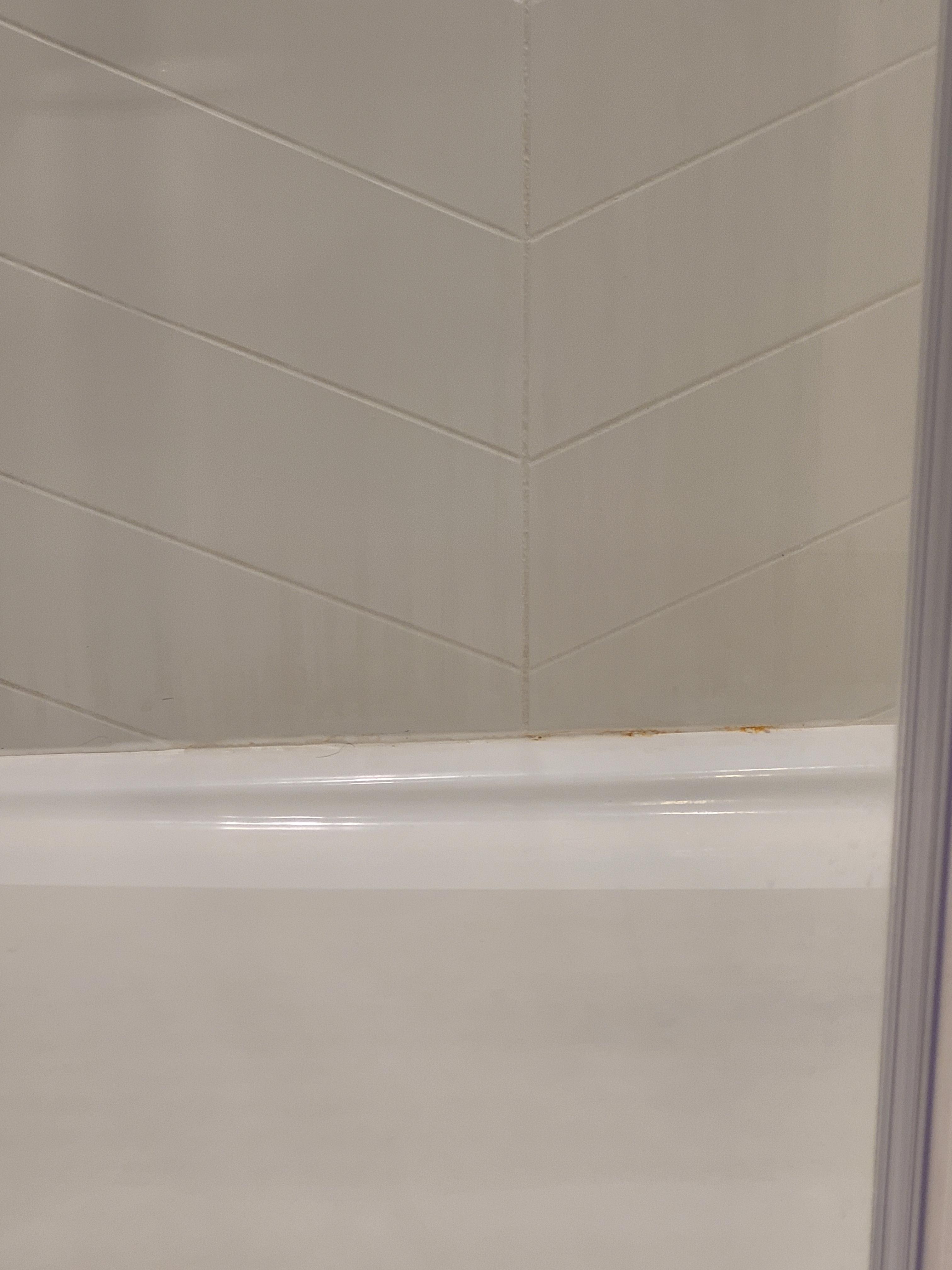 Mold and mildew in shower