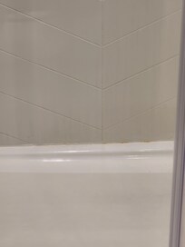 Mold and mildew in shower
