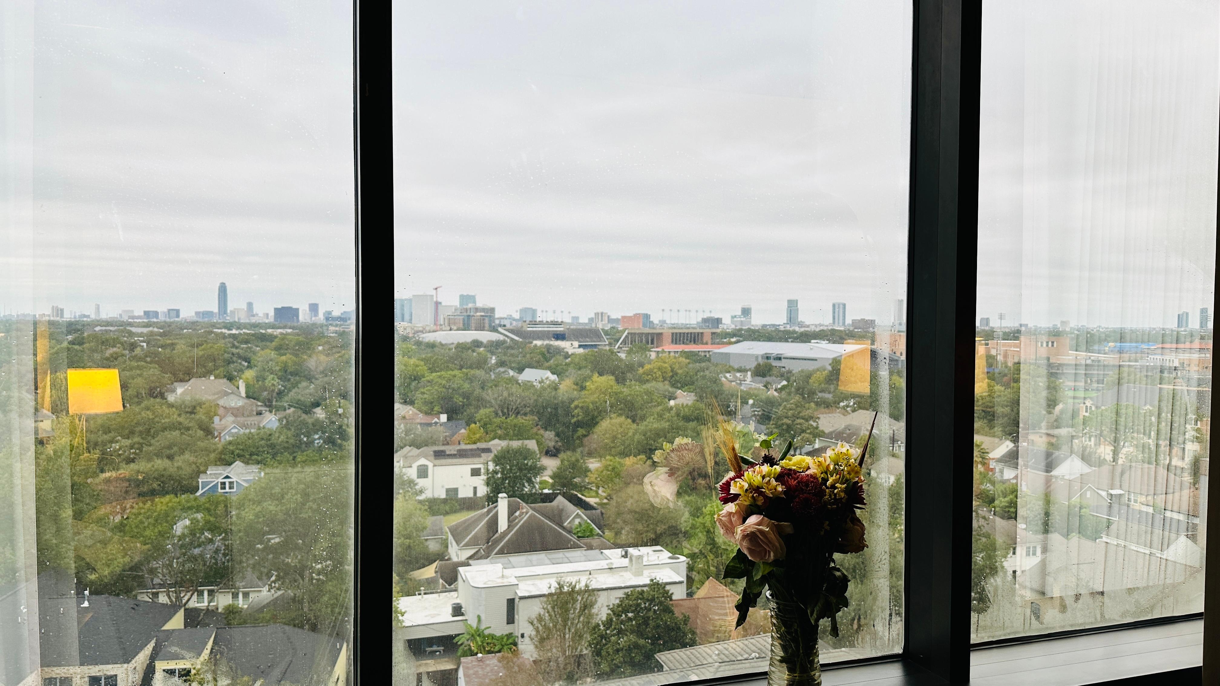 Choose city view. It is very good to see campus of Rice University.