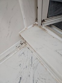 Mold in testrooms.