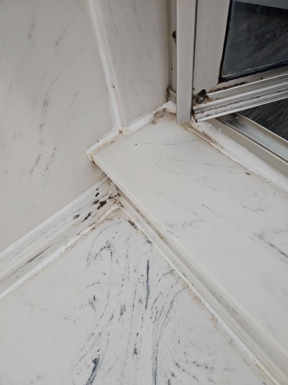 Mold in testrooms.