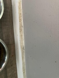 Baseboard Kitchen/living room area