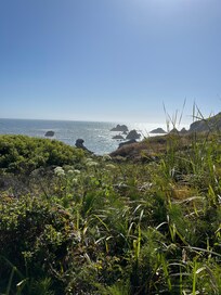 Shell beach 🌊