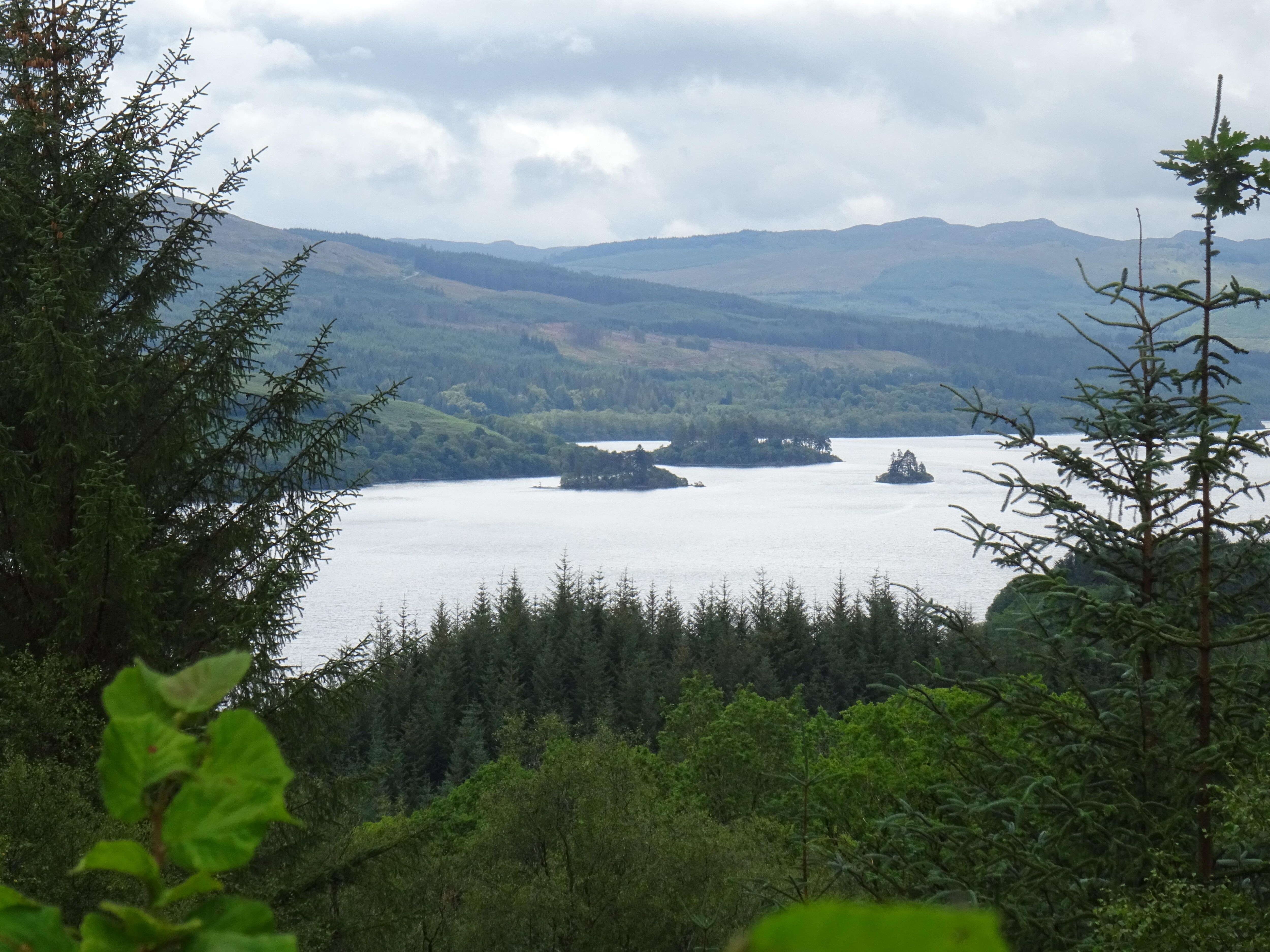 Blick auf Loch Awe (bei Dalavich)