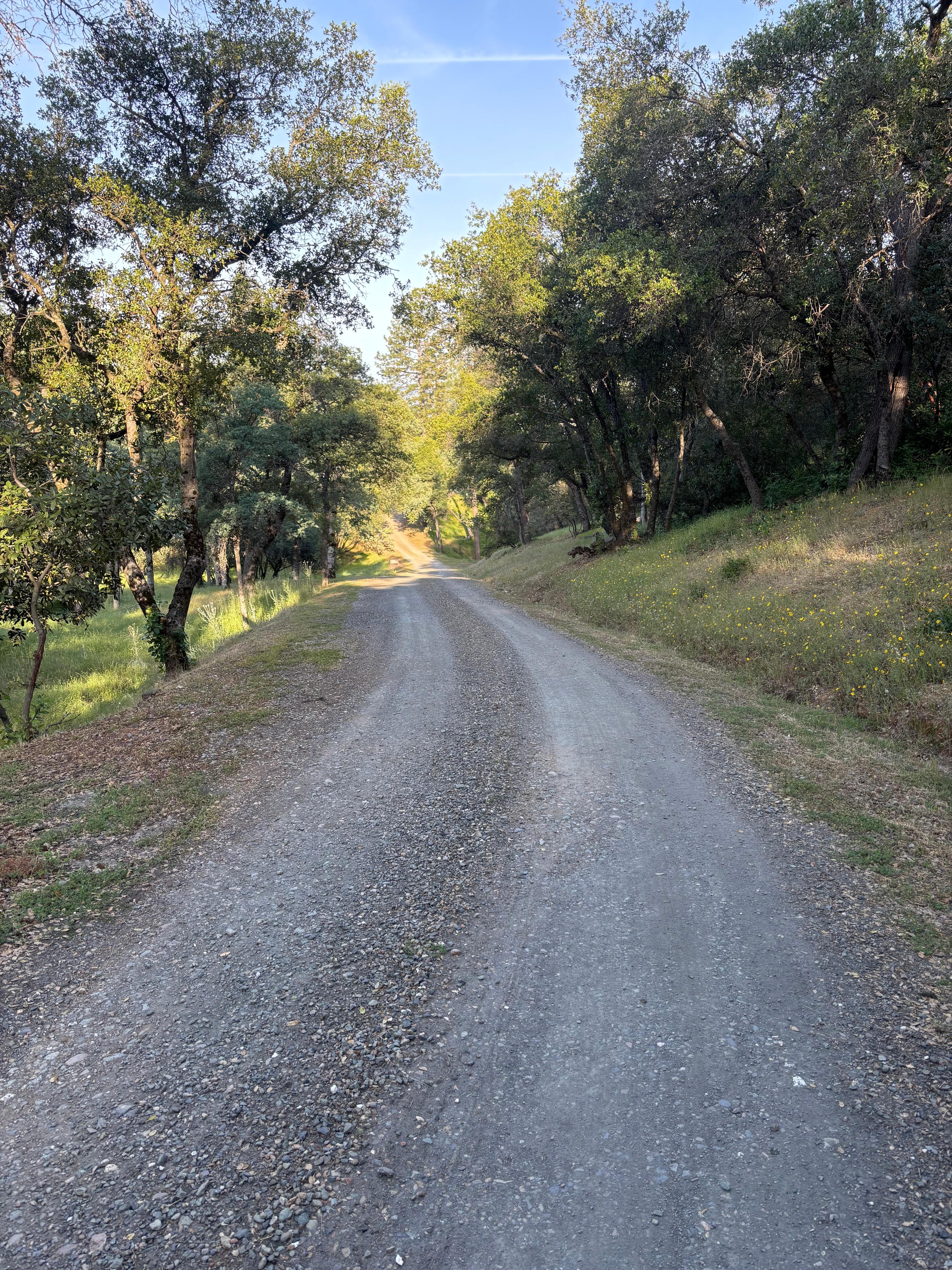 The road in