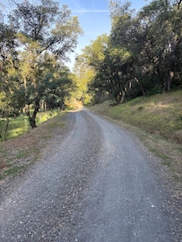 The road in