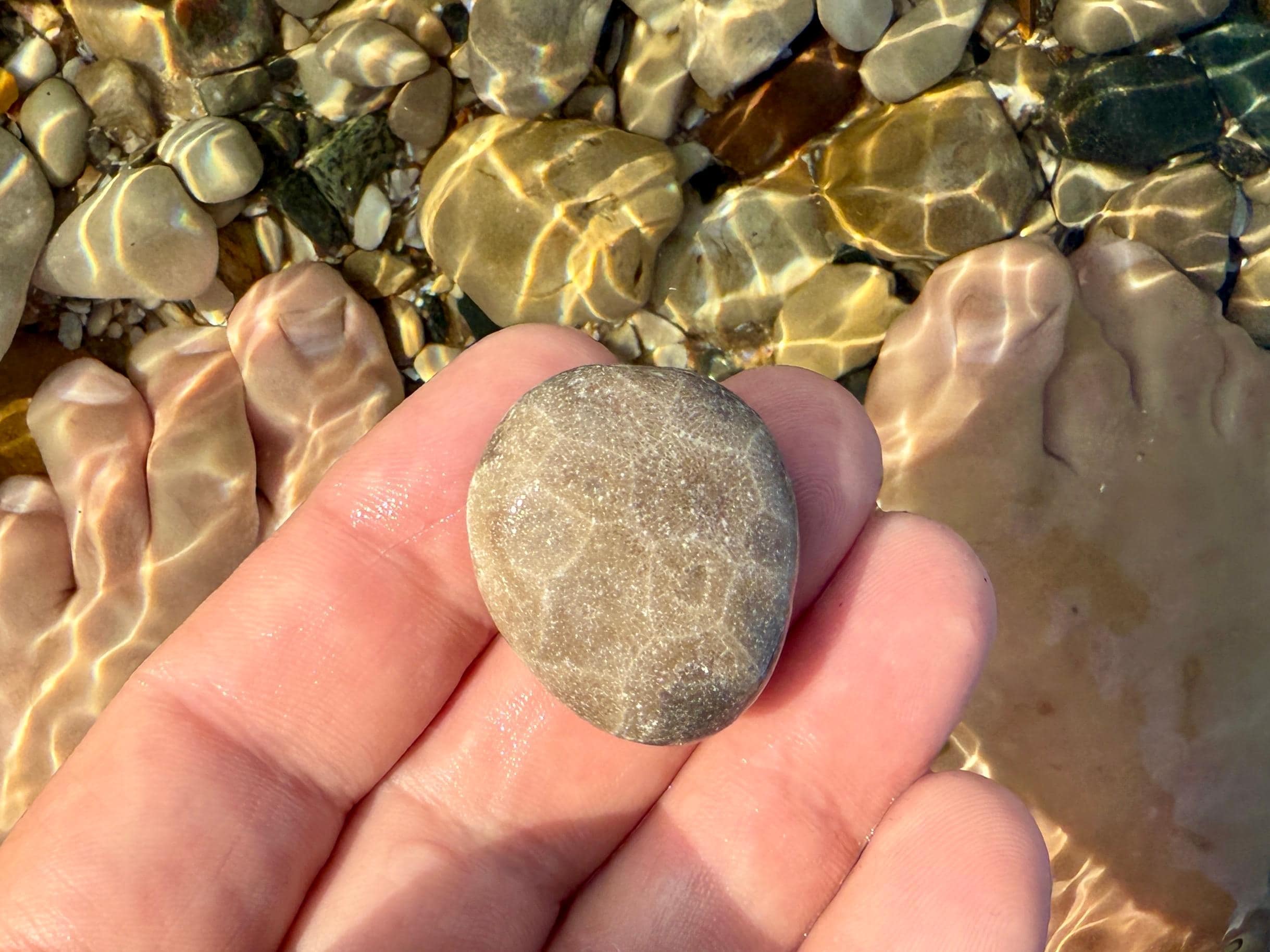 1st Petoskey stone😀