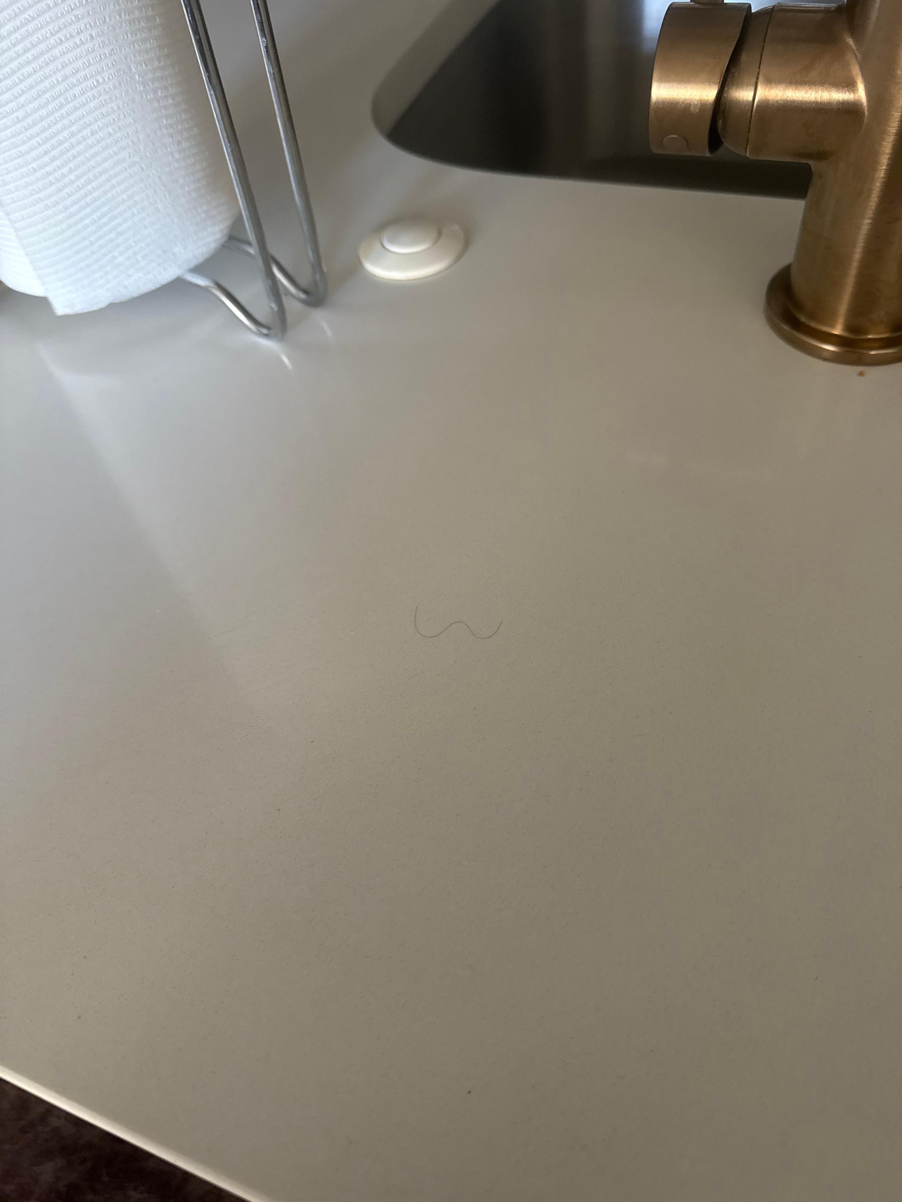 Hair on kitchen counter. Sticky stuff on cabinets. 