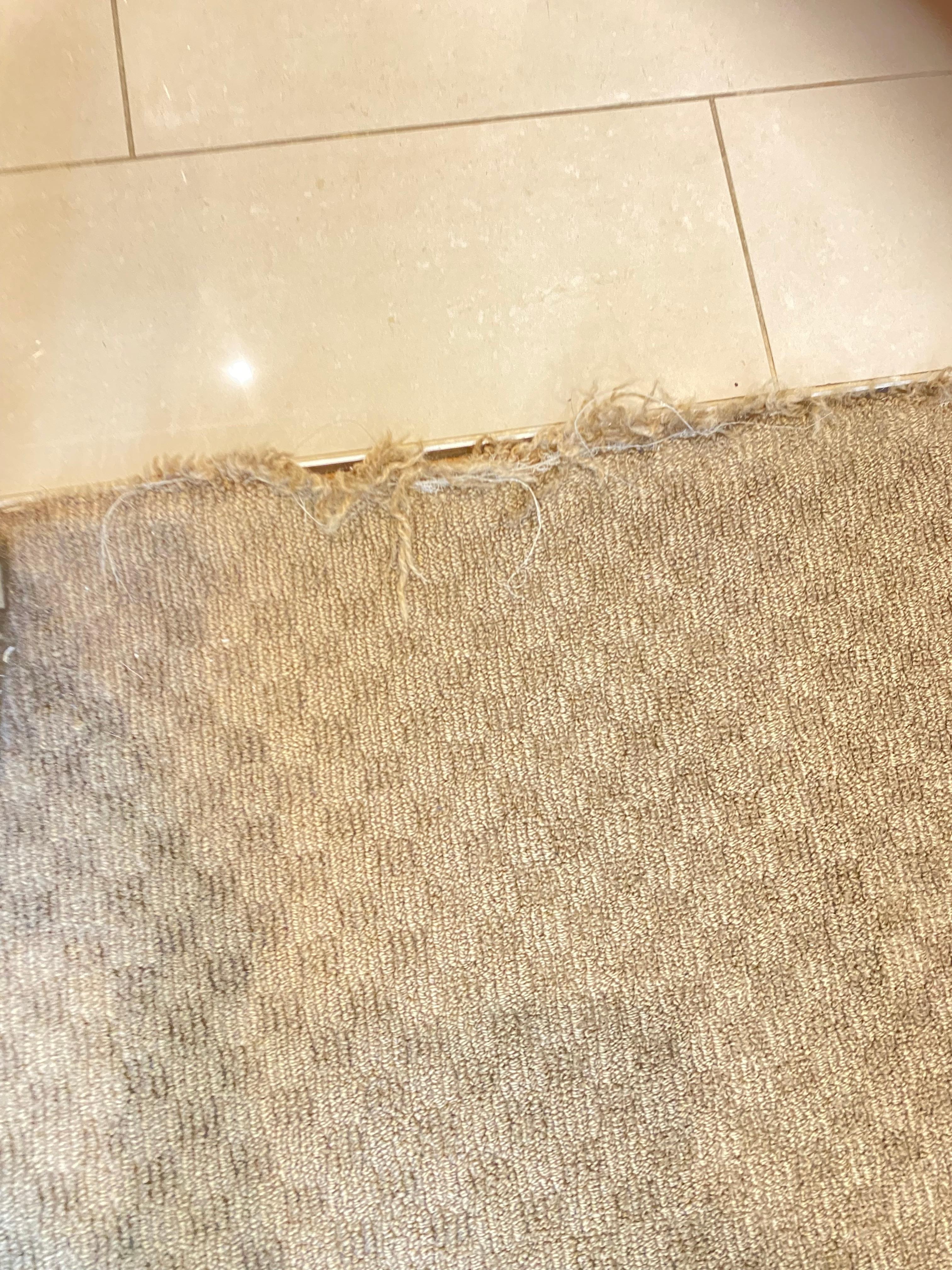 Frayed carpet going in to the bathroom 