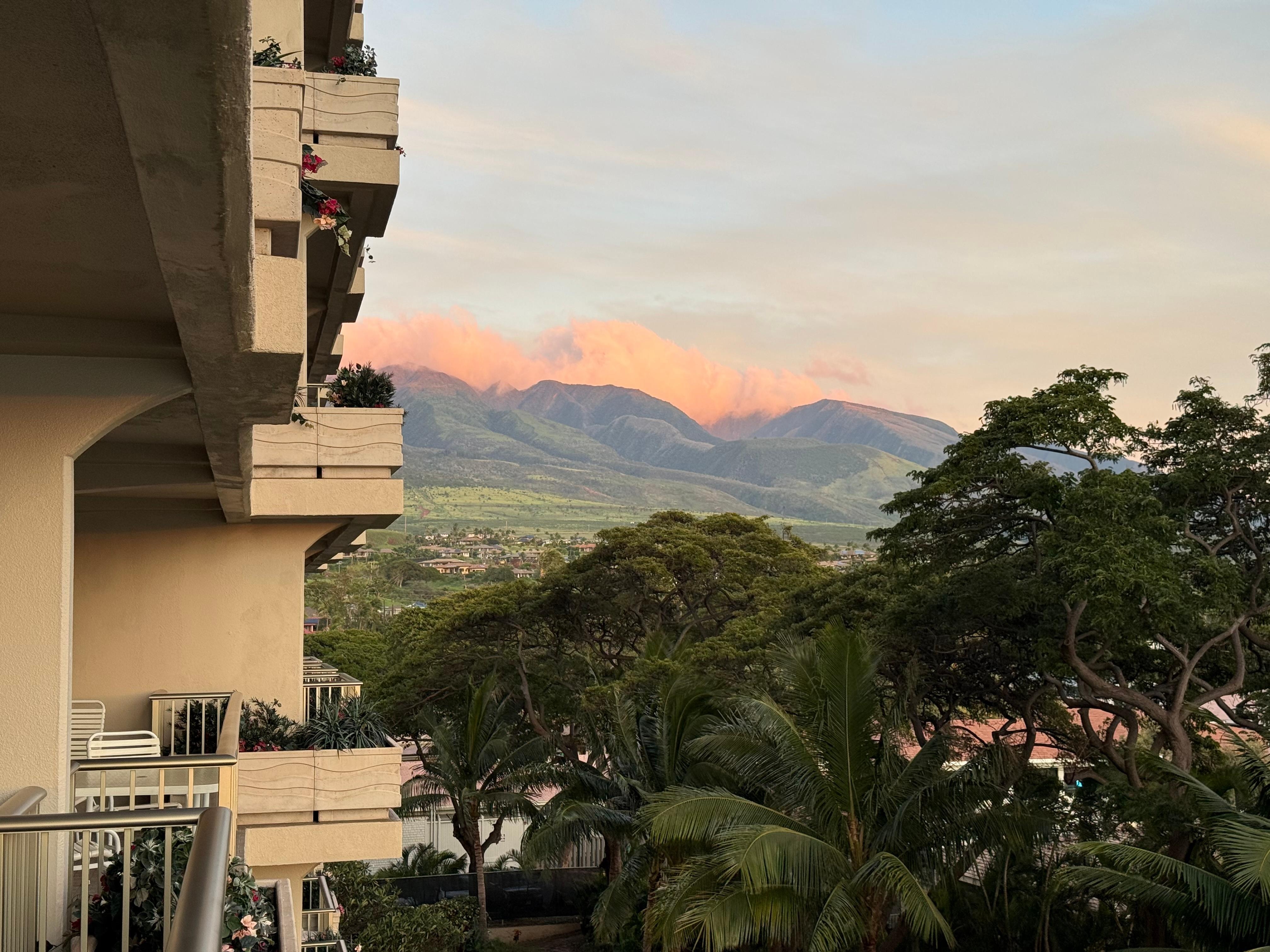 Left view of the veranda 