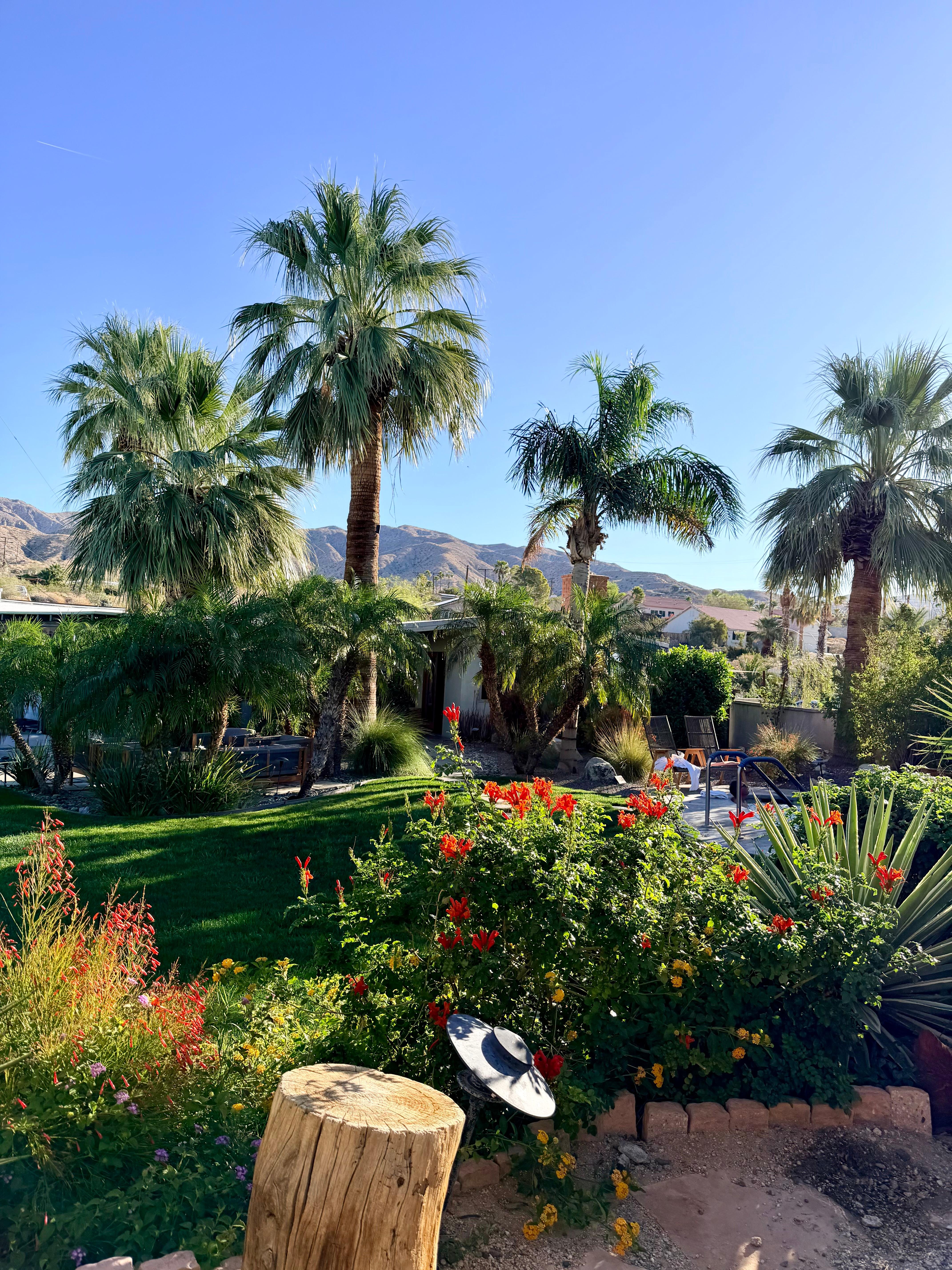 View from lounge chairs above the property 
