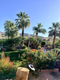 View from lounge chairs above the property