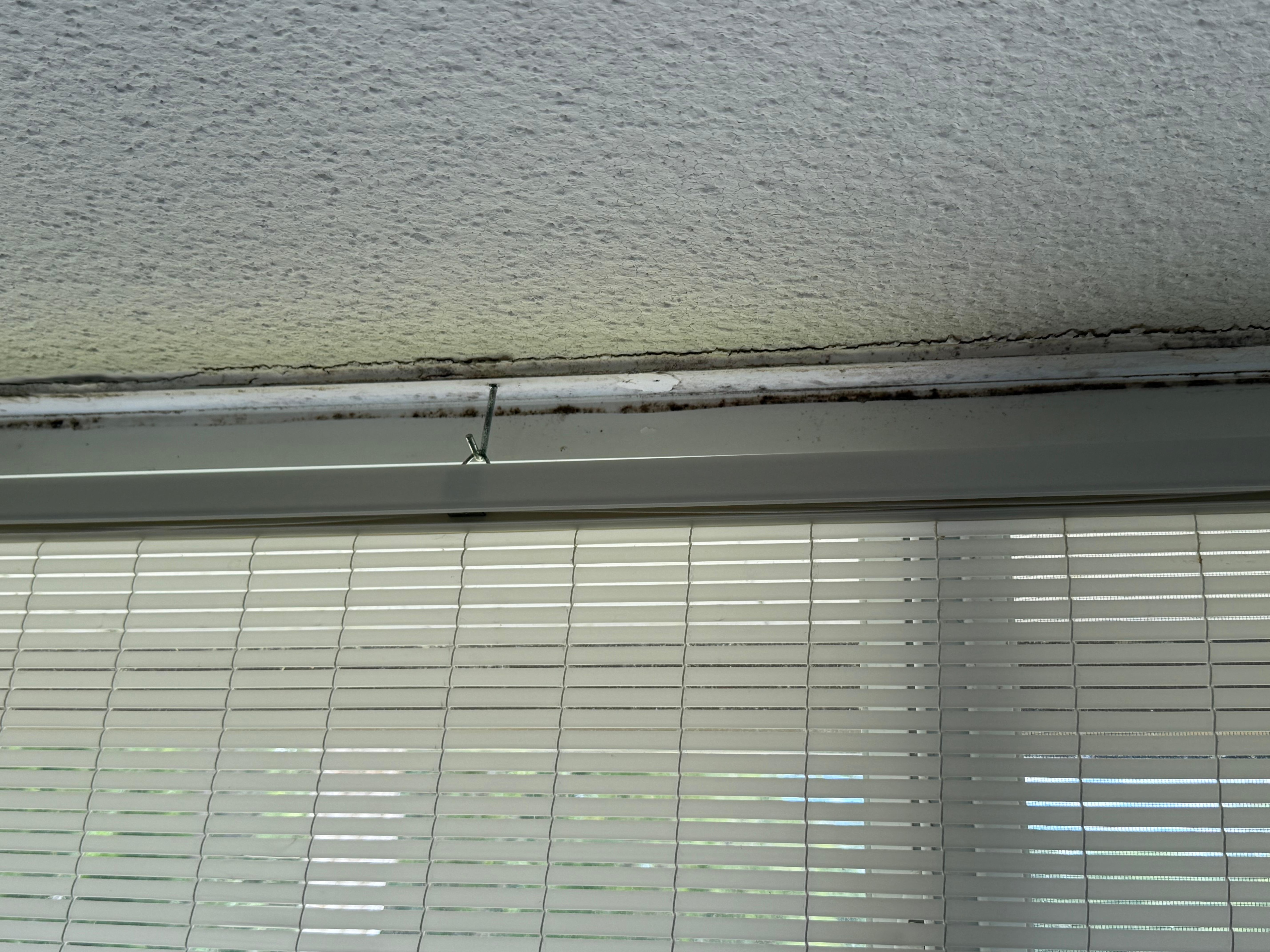 Mold above window