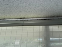 Mold above window