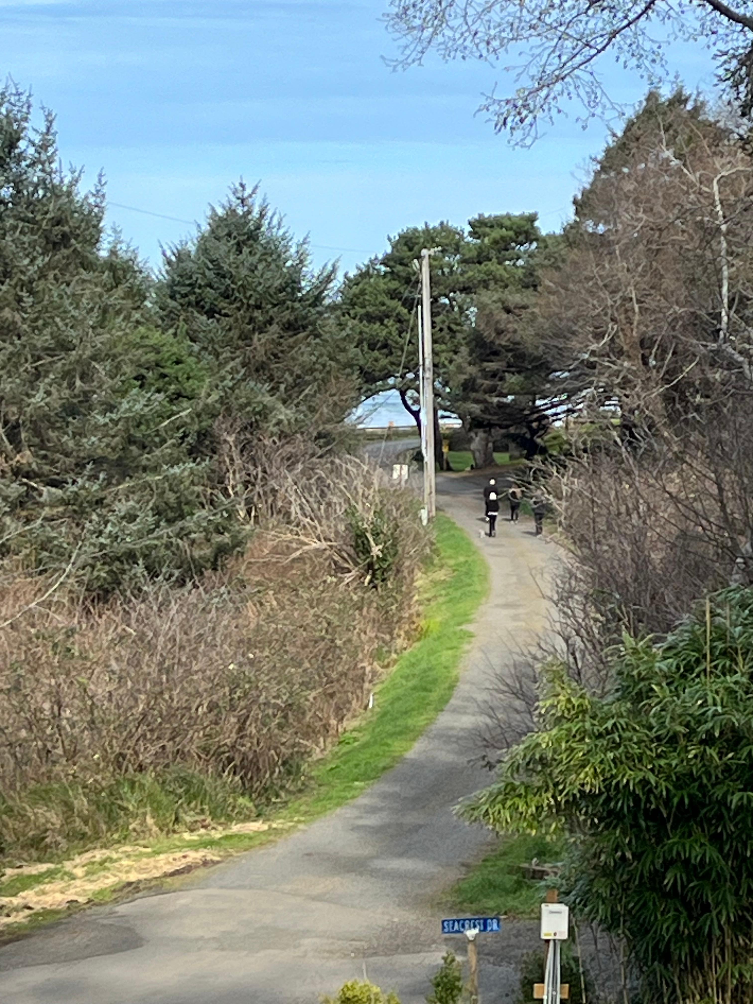 View from the main floor balcony.