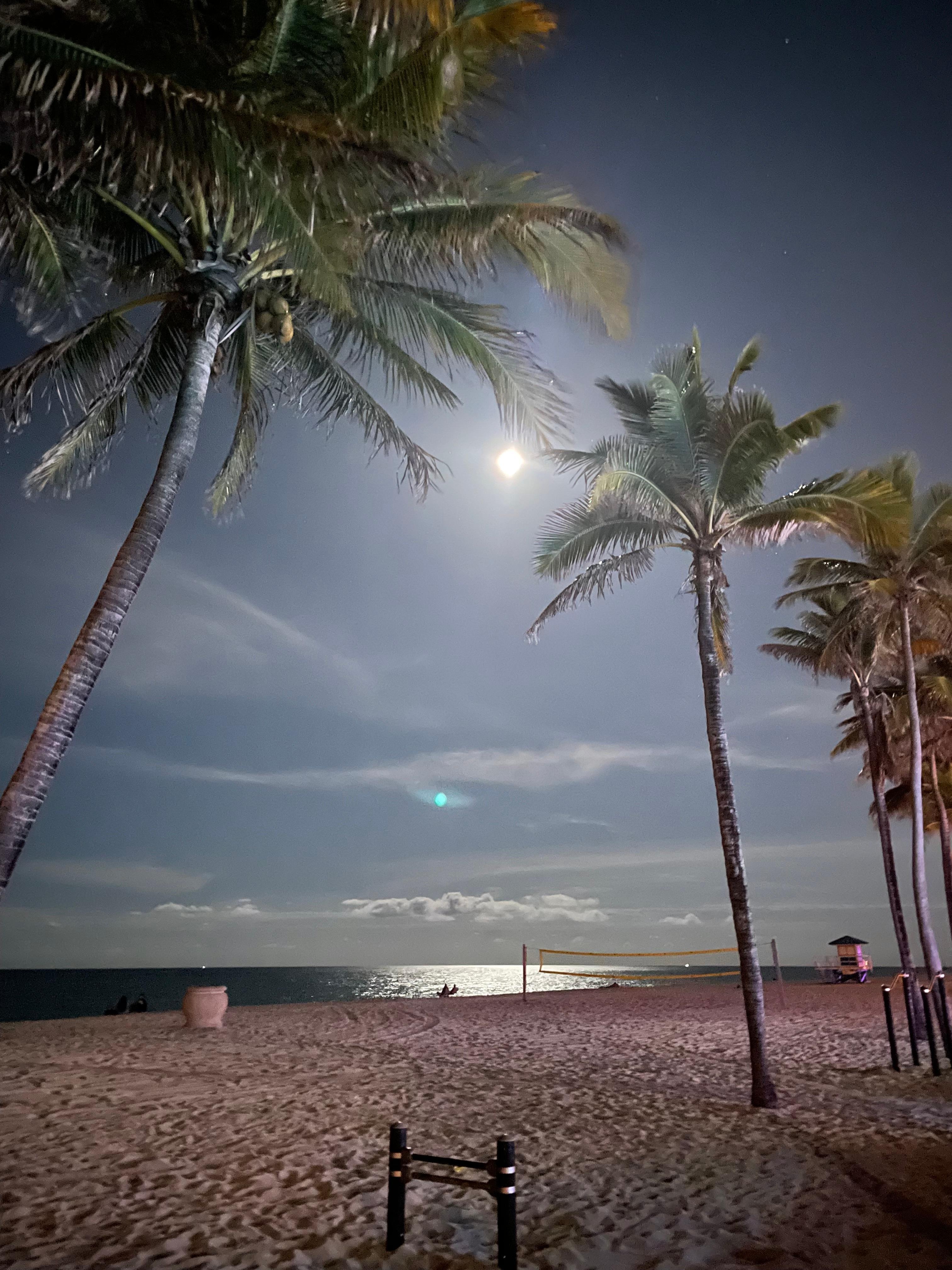 Moonlight on the water