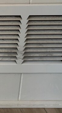 AC return animal/human hair?
