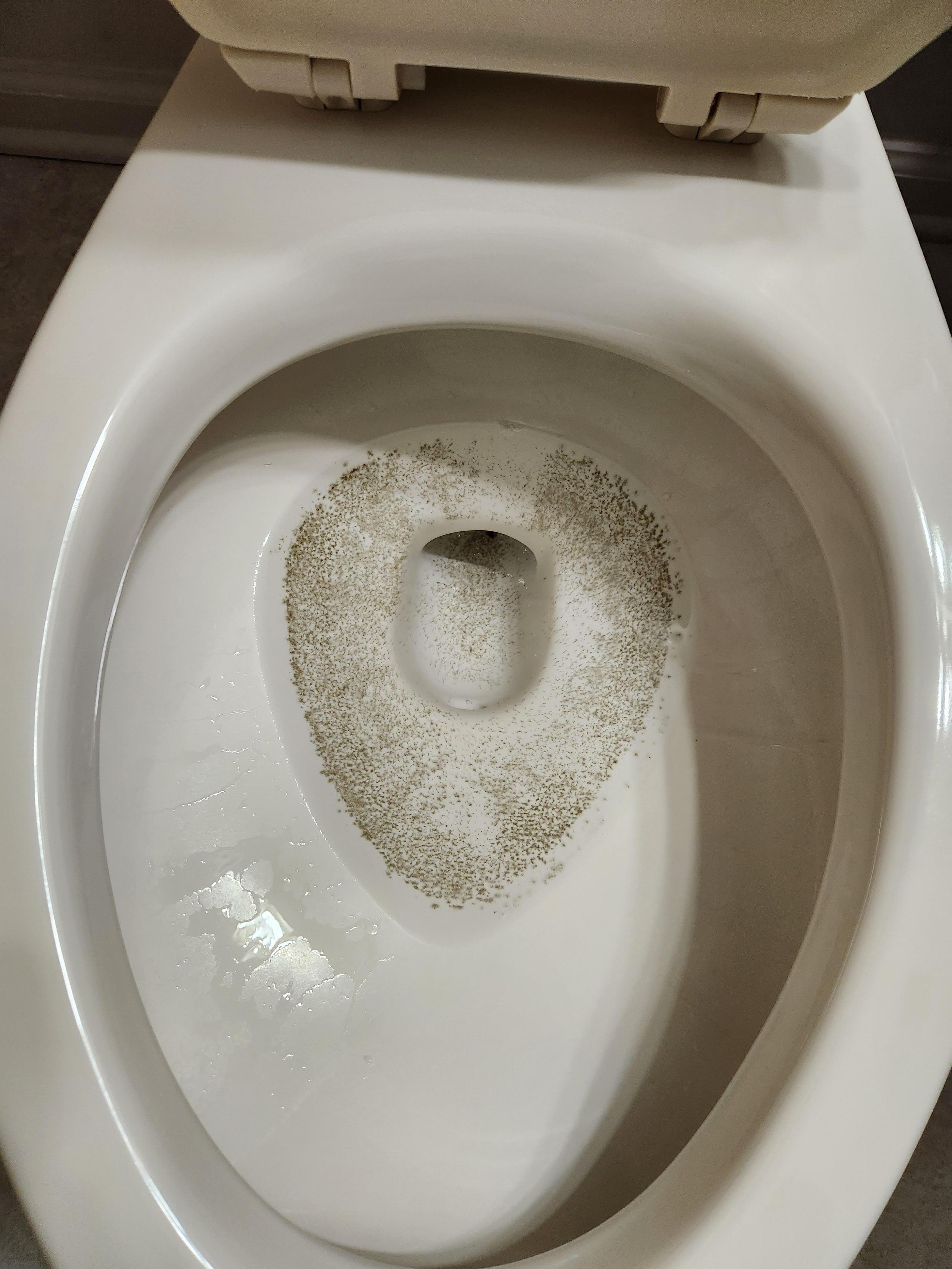 Moldy coated toilets