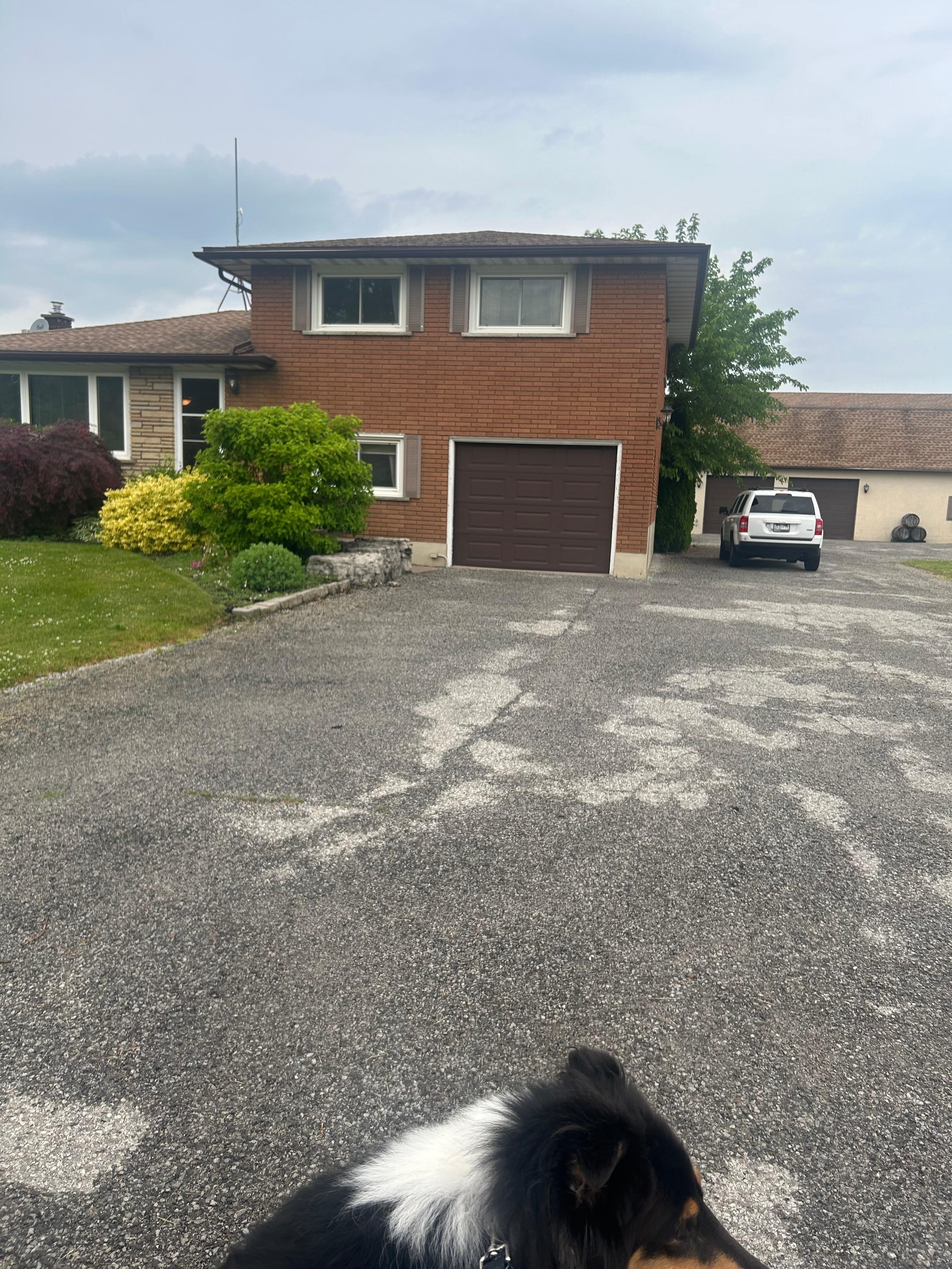 Front with large driveway