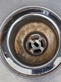 Kitchen sink drain