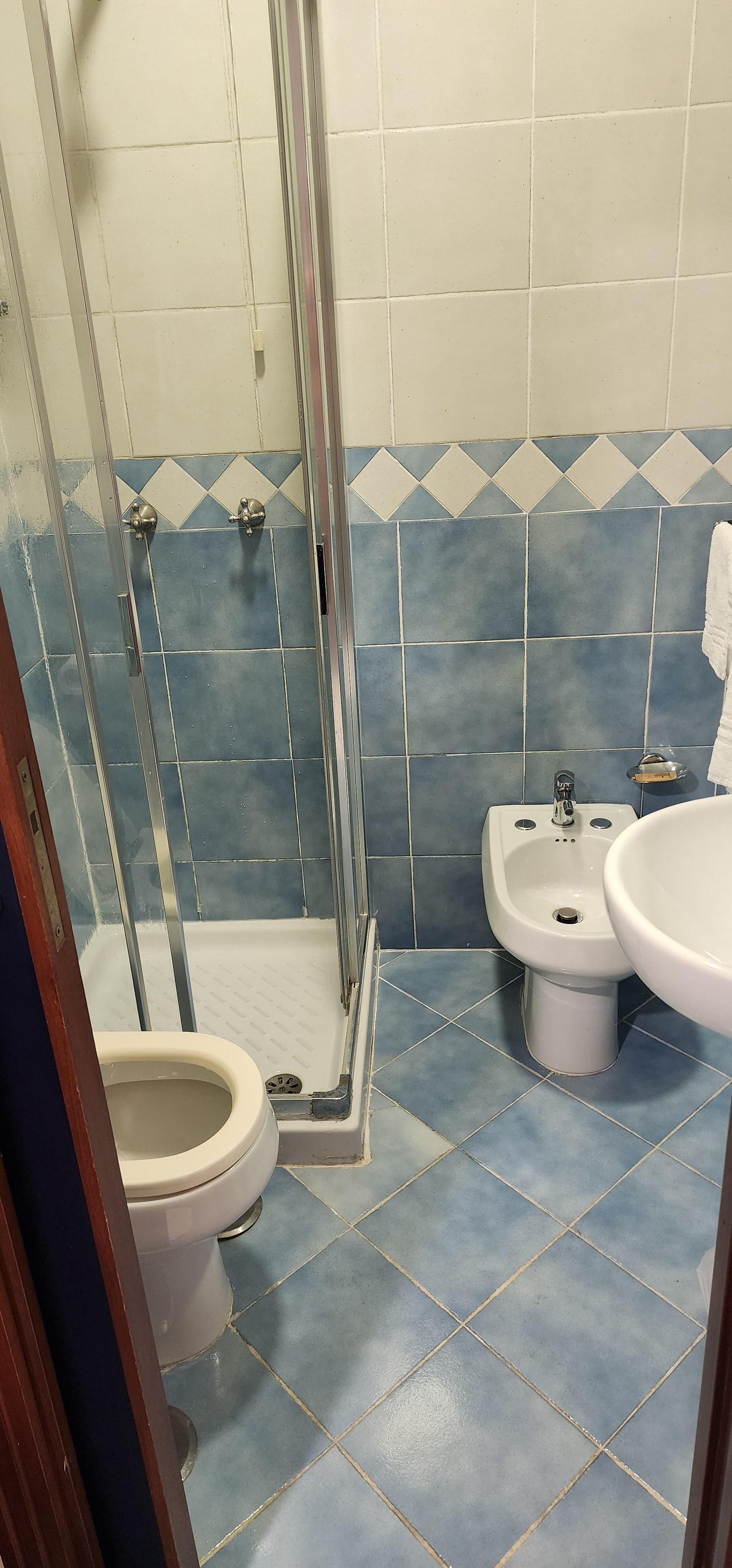 If bidet was not there, the shower enclosure could be a normal size.