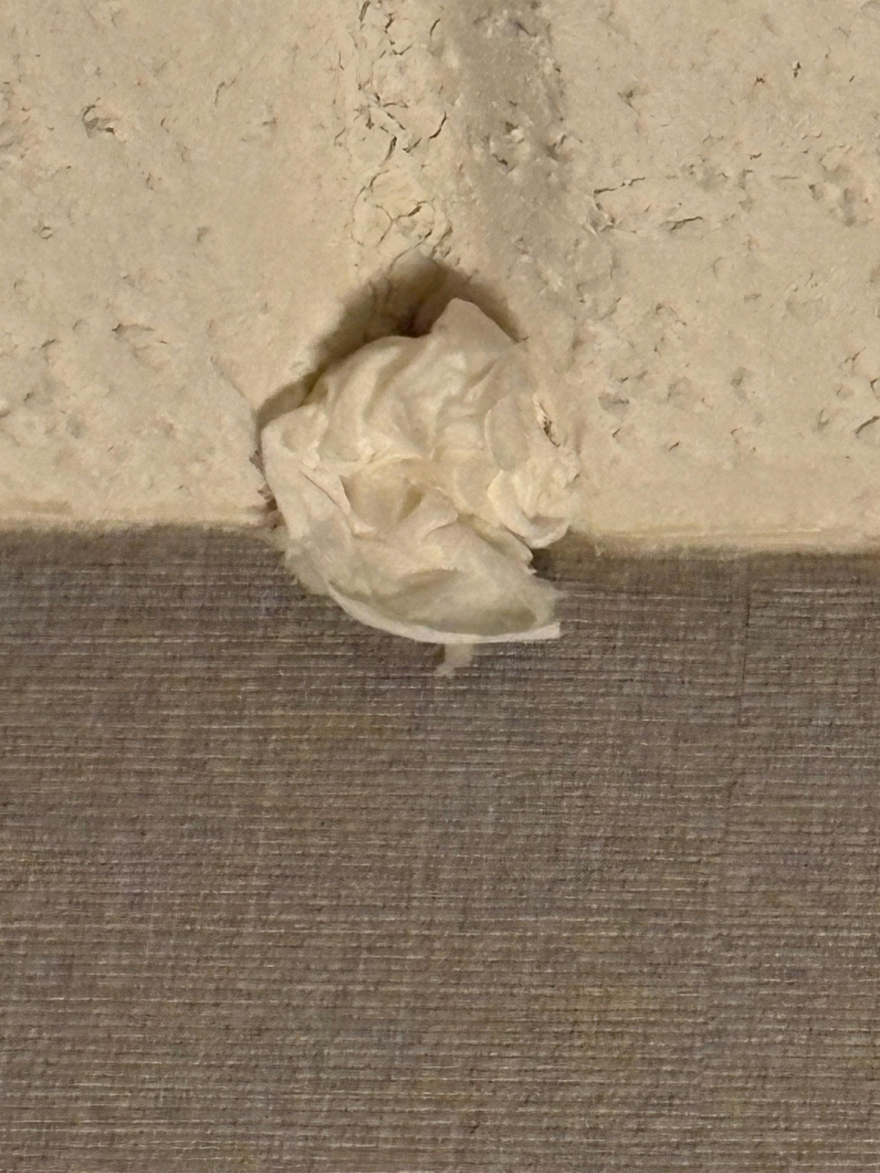 We did not want to touch it! Wasn’t sure what this was stuck to ceiling and wall. 