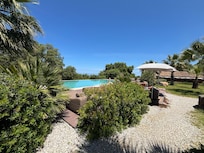 Pool and Chairs
