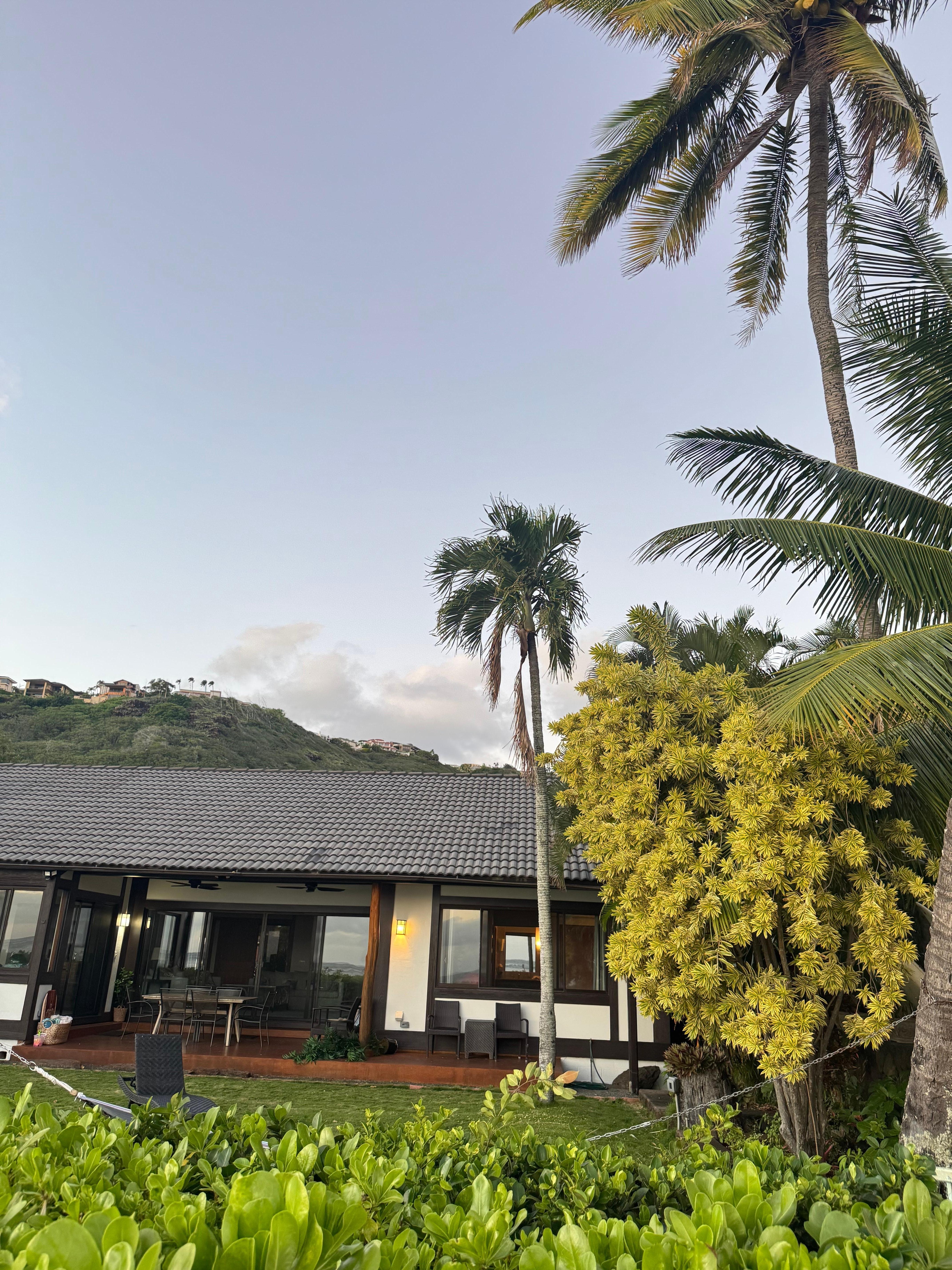 The back view of the house 