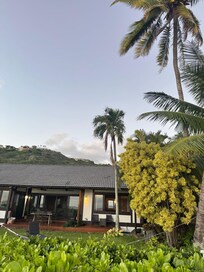 The back view of the house