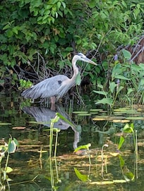 Nearby at Big Chute