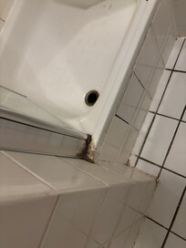 Corner of shower with a bunch of dirt/mold