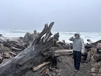 Good location for proximity to beaches and rainforest