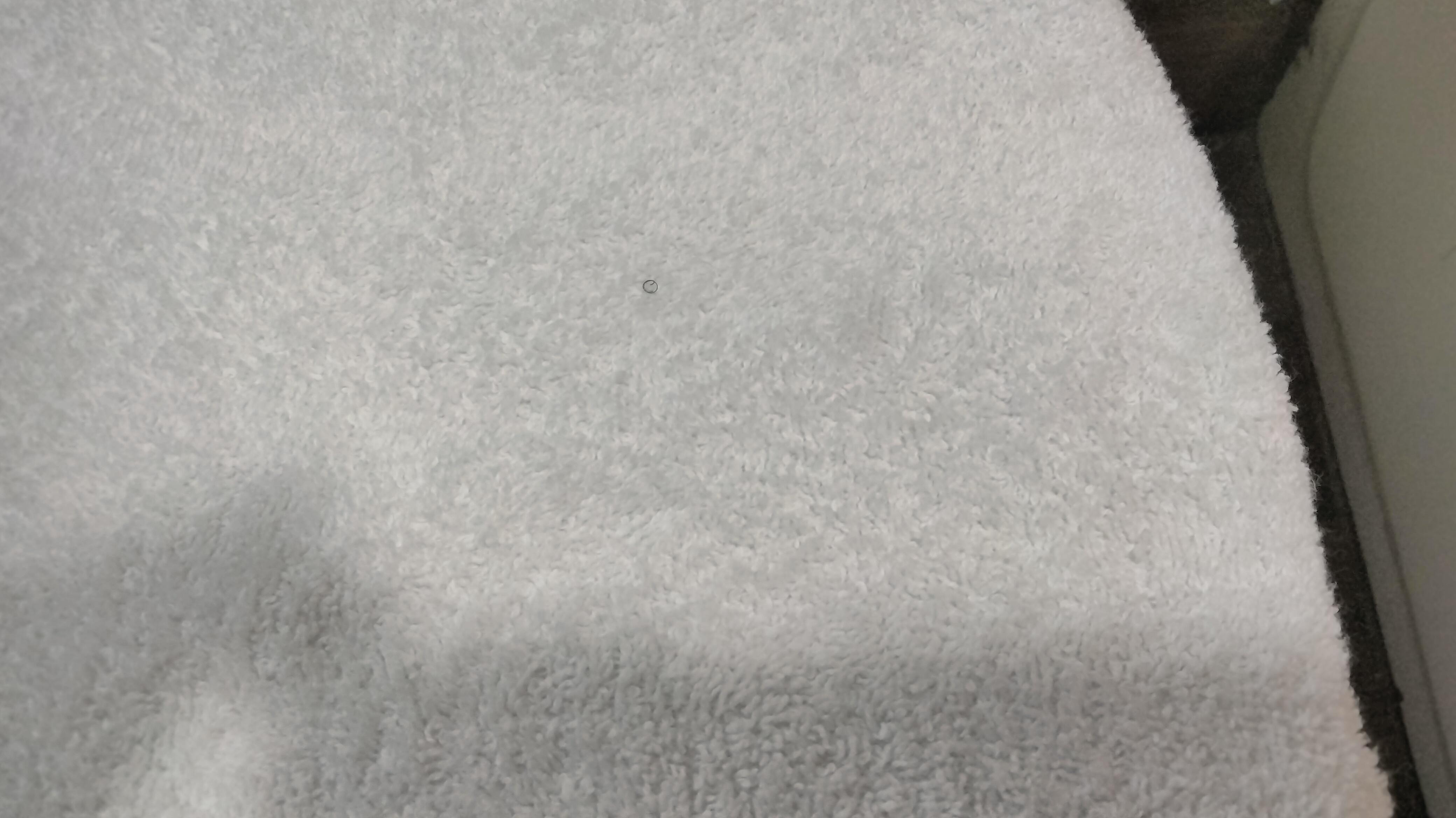 If you make the picture bigger, you can see the piece of hair stuck in the towel