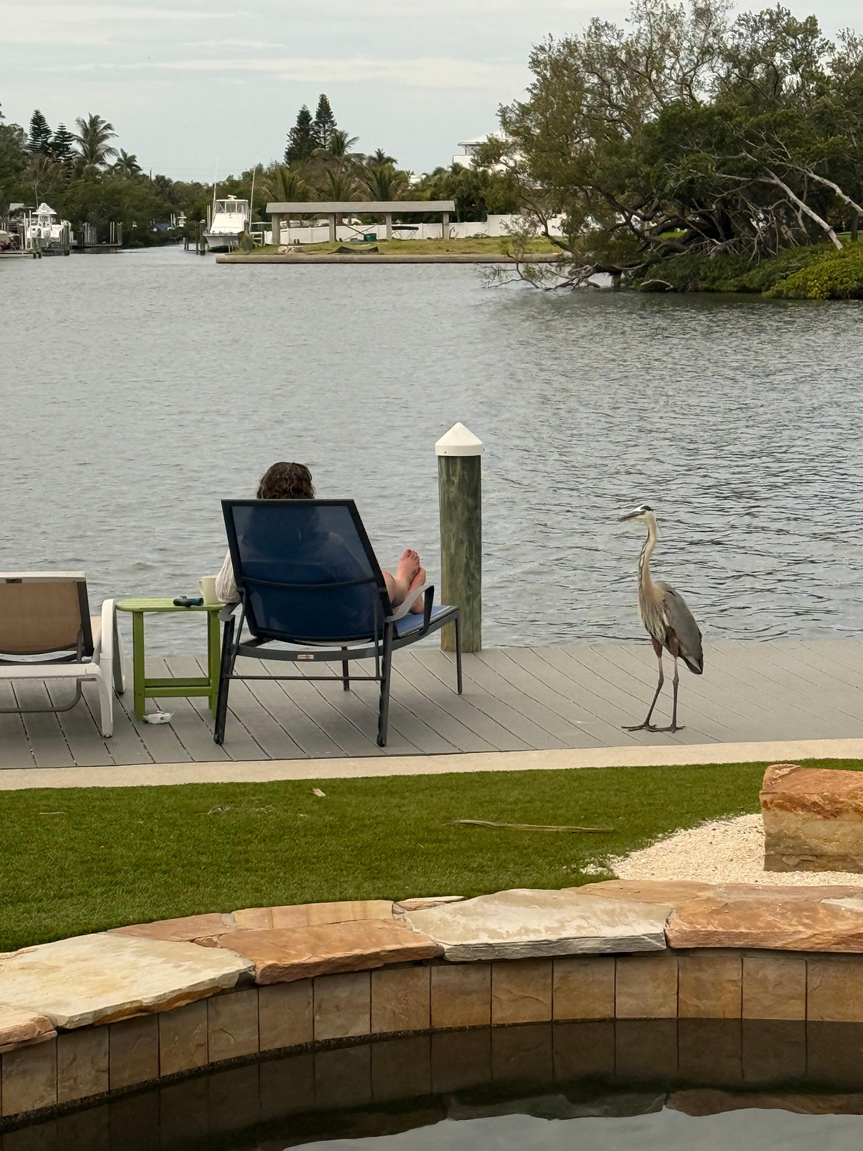“Harold”, would come visit daily!
