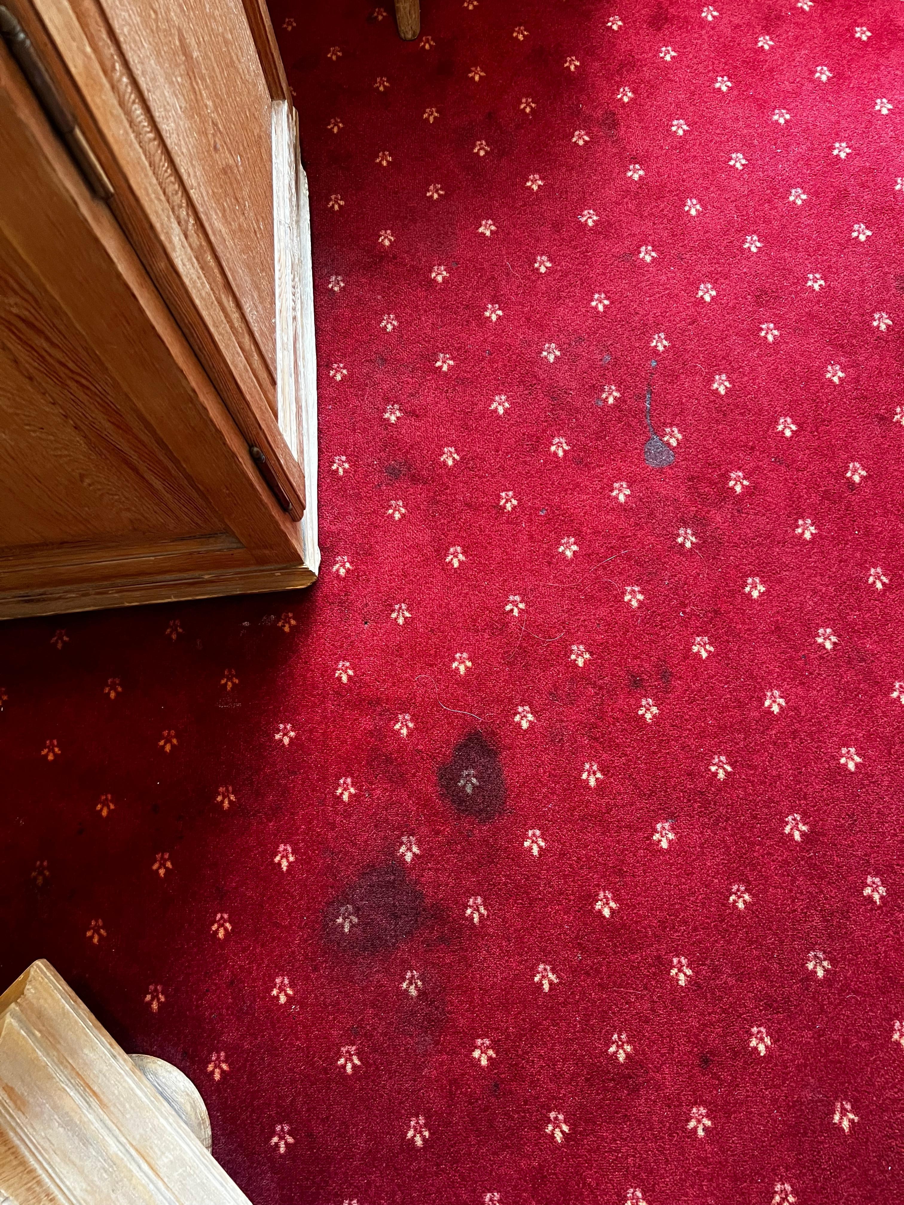 Stained carpet
