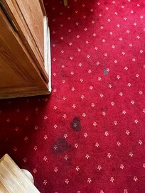 Stained carpet