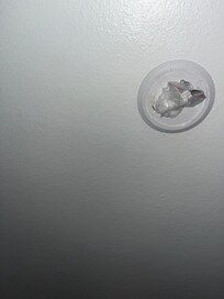 Another angle, I’ve smoke detectors, wiring portion attached to ceiling, detached from detector itself