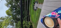 Coffee on the second story deck