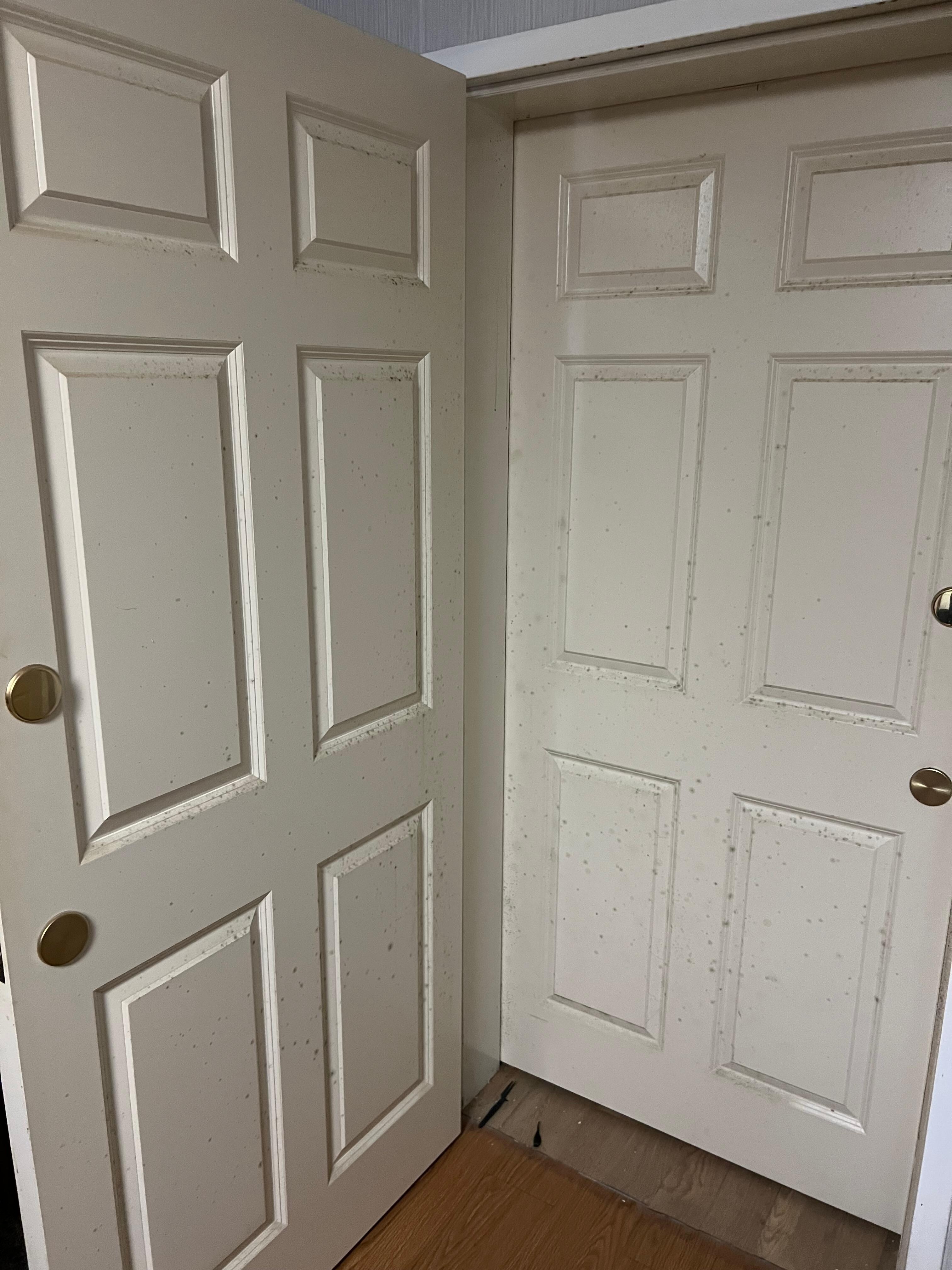 Mold